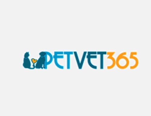 PetVet365